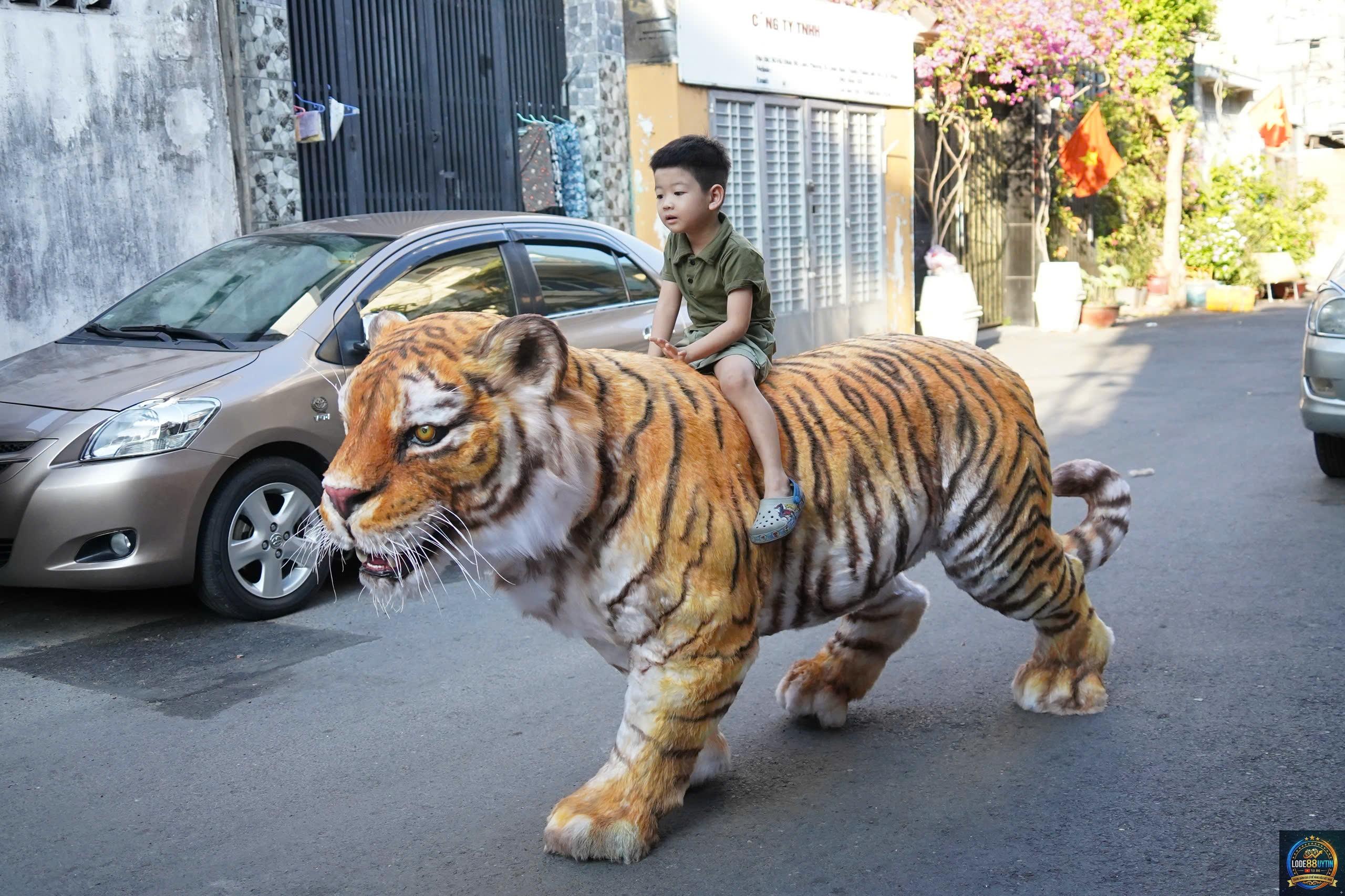 Mơ Thấy Hổ
