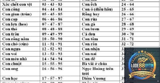 lô đề 88 là gì