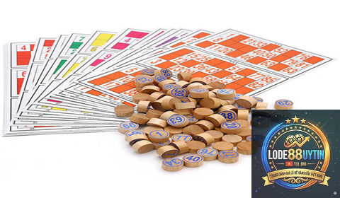 loto đảo là gì - Image 1