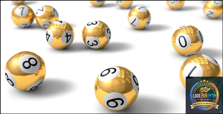nuôi dàn lô - Image 4