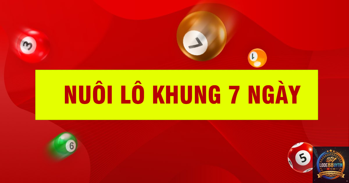 nuôi lô khung 10 ngày - Image 3