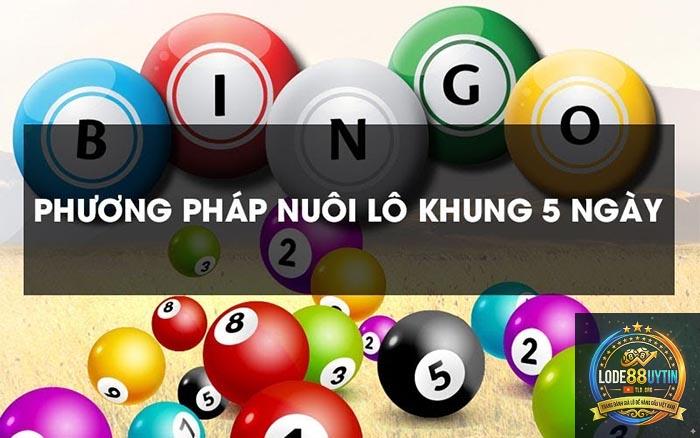 nuôi lô khung 5 ngày - Image 3
