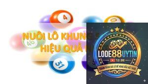 nuôi lô khung 5 ngày