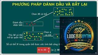 phương pháp bắt cặp số - Image 2