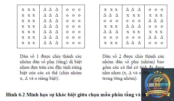 phương pháp chọn số theo bảng đặc biệt - Image 3