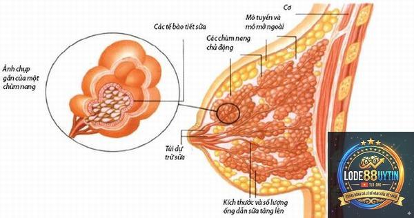 phương pháp soi số bù