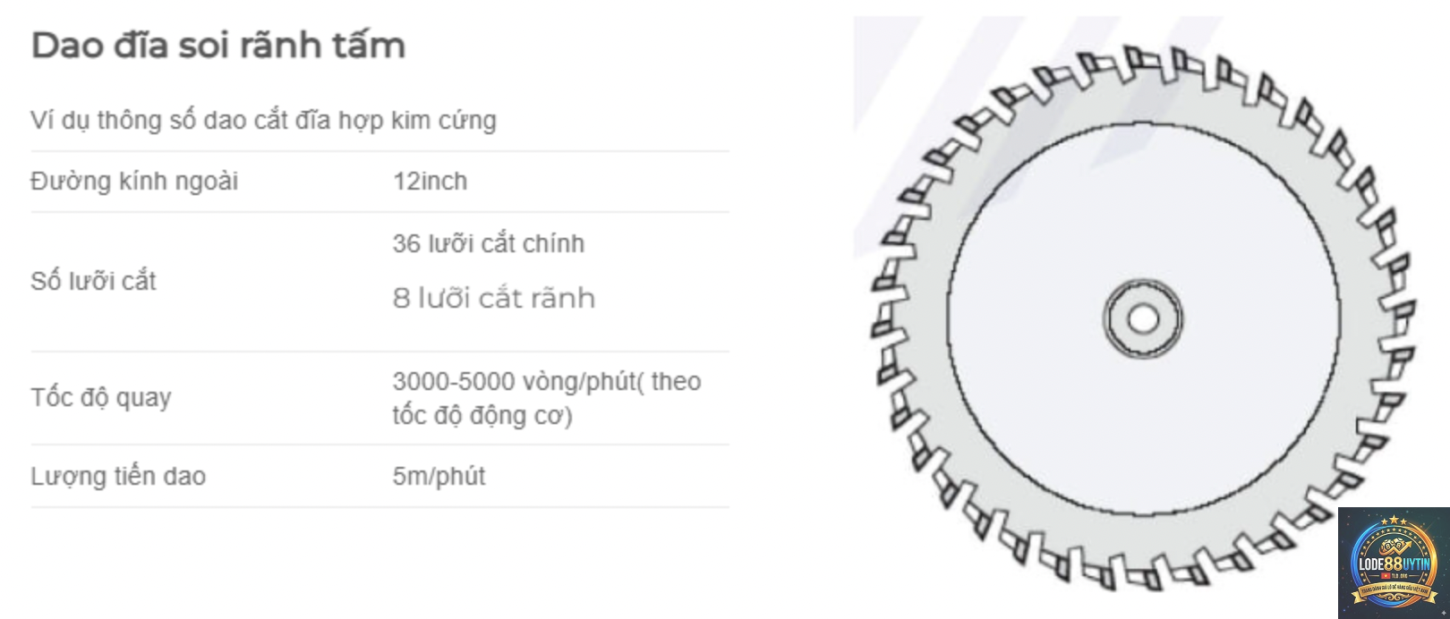 phương pháp soi số đảo - Image 2