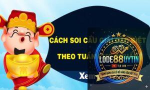 soi cầu theo tuần