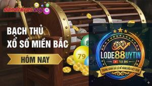 bạch thủ miền Bắc là gì