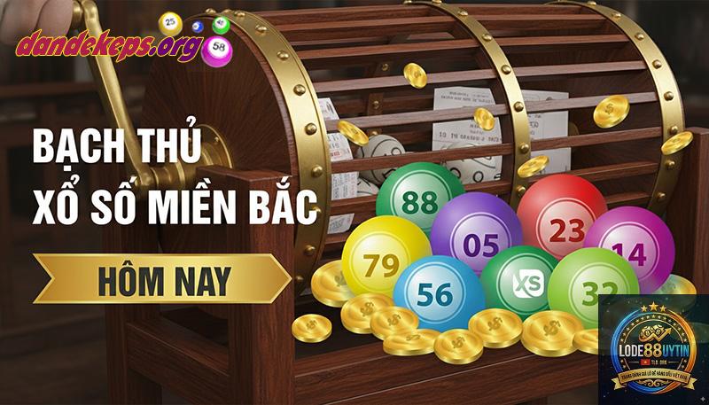 bạch thủ miền Bắc là gì