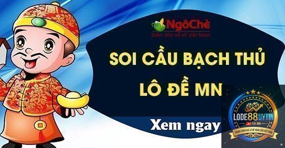 bạch thủ miền Nam là gì - Image 2