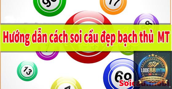 bạch thủ miền Trung là gì - Image 3