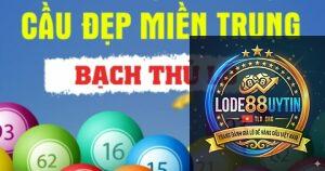 bạch thủ miền Trung là gì