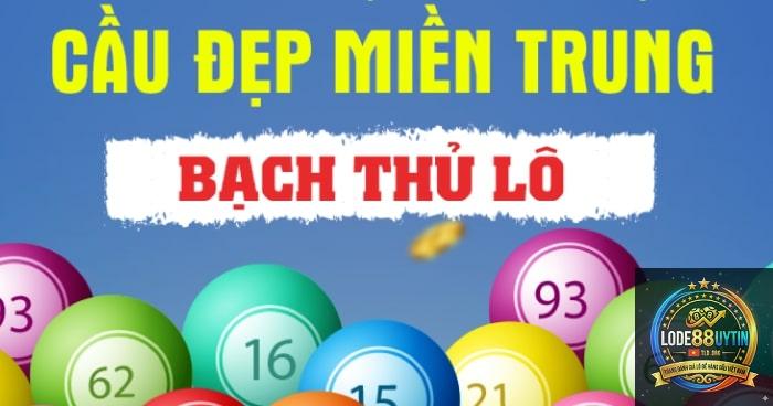 bạch thủ miền Trung là gì