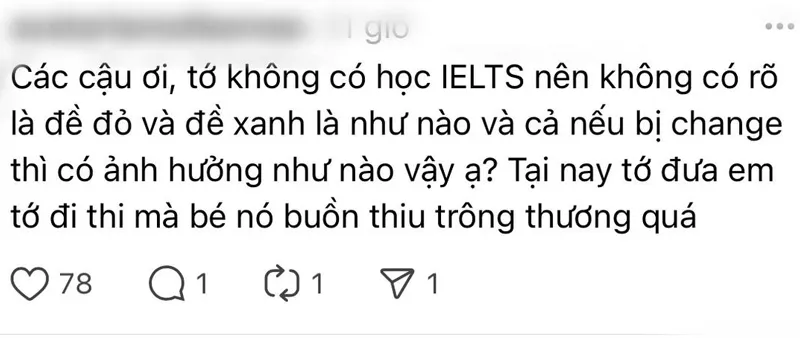 bao đề là gì - Image 3