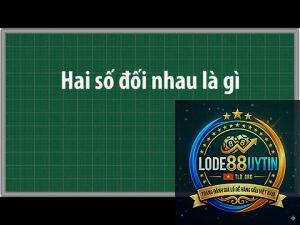 bộ số đối là gì