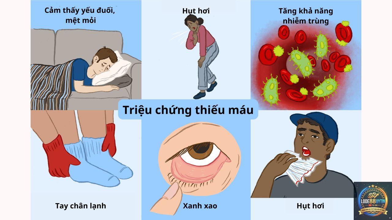 cầu bạch thủ là gì - Image 4