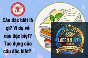 cầu đặc biệt là gì