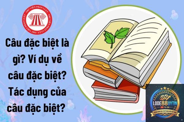 cầu đặc biệt là gì - Image 1