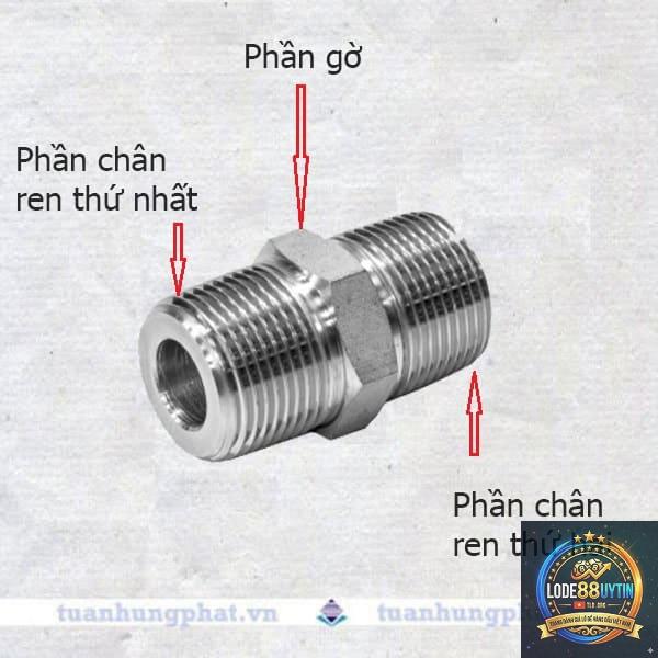 cầu kép là gì - Image 3