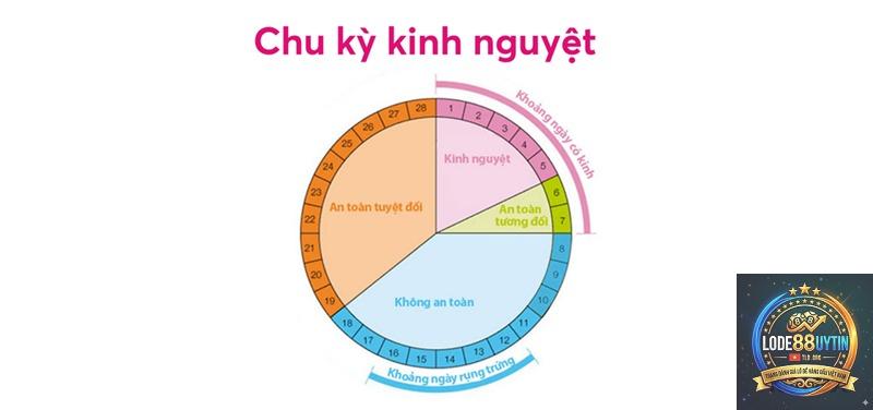 chu kỳ đề là gì - Image 4