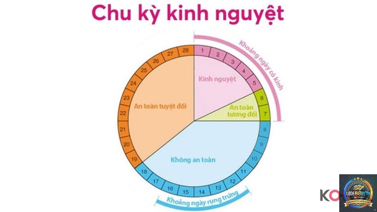 chu kỳ lô là gì - Image 2