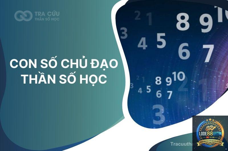 con số chủ đạo là gì - Image 4