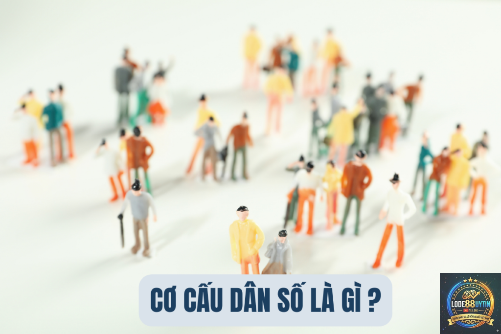 dàn số là gì
