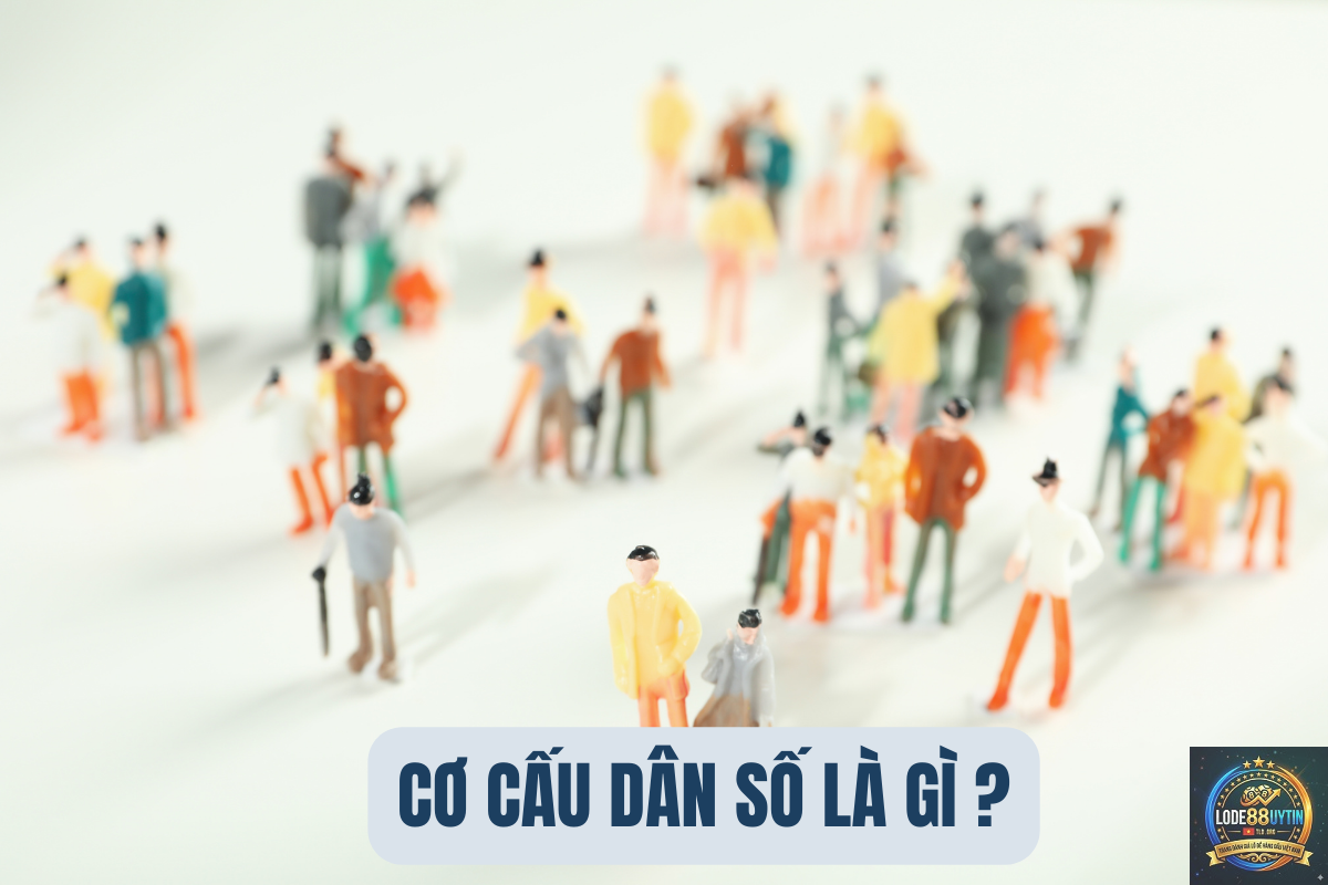 dàn số là gì - Image 1