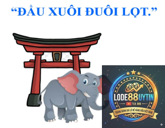 đầu đuôi là gì - Image 2