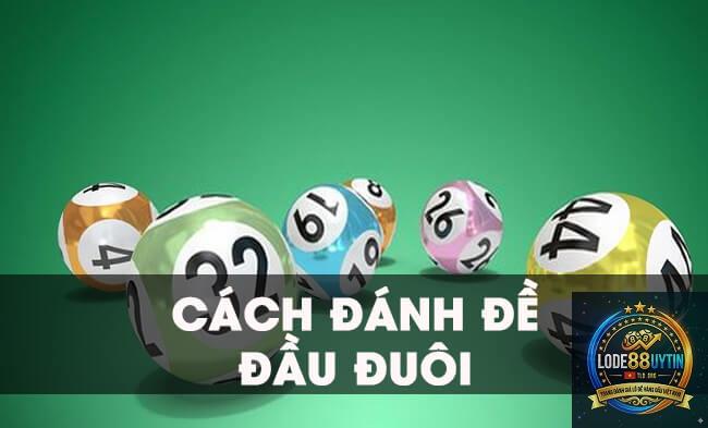 đề đầu đuôi là gì - Image 5