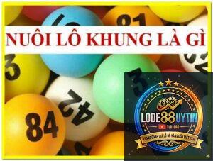 khung 7 ngày là gì