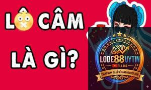 lô đầu là gì