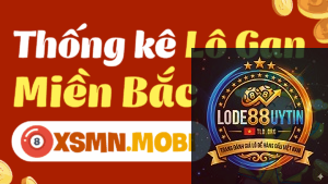 lô gan lâu ngày là gì