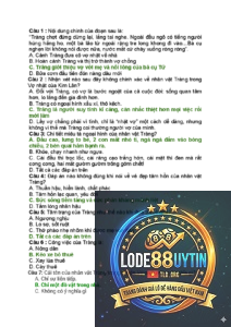 lô về liên tiếp là gì - 5