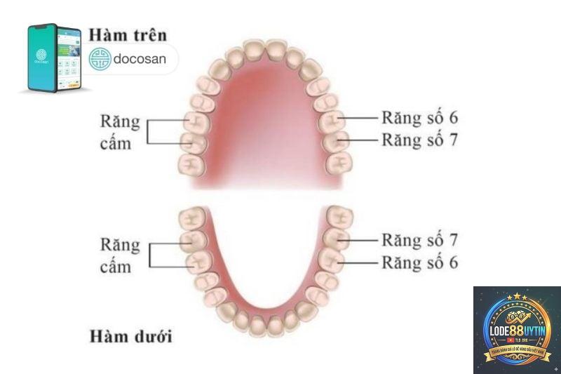 số câm là gì - Image 5