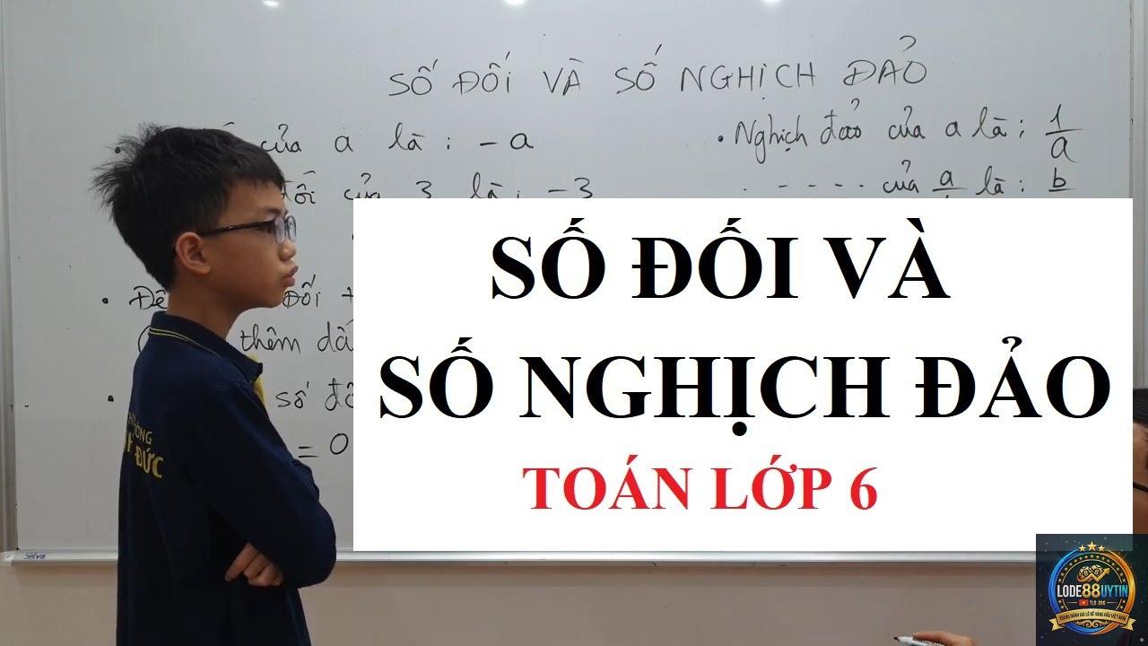 số đối là gì - Image 4