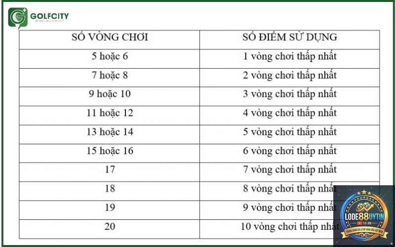 số kép là gì - Image 1