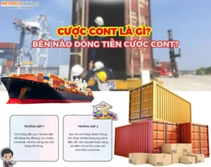tiền cược là gì